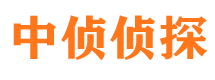 居巢市侦探调查公司